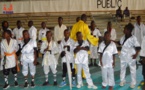 Le Kung-fu prend son envol au Tchad avec le lancement de la Fédération nationale