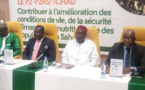 Le Tchad engage le projet P2RS pour améliorer la sécurité alimentaire et nutritionnelle