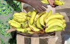 Tchad : La flambée des prix de la banane met à mal les consommateurs à Ndjamena