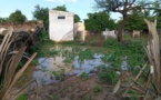 Tchad : Koukou-Angarana sous les eaux, un appel à l'aide urgent