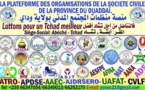 Tchad :  à Abéché, la plateforme de la société civile du Ouaddaï célèbre la Journée de la jeunesse