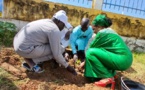 Tchad : à Abéché, l'ADAH contribue à la reforestation lors de la Semaine nationale de l'arbre