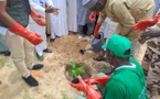 Tchad : dans la province du Lac, lancement de la Semaine nationale de l’arbre
