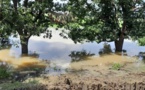 Tchad : comment mieux se préparer face aux inondations, risques climatiques et sanitaires ?
