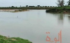 Tchad : la culture maraîchère sur les rives du Chari, une activité génératrice de revenus