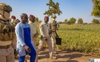 Burkina : le chef de l’État visite un champ d’ananas en expérimentation