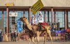 Festival Dary - Le dromadaire : un symbole fort des cultures de l'Ennedi Ouest et du Kanem