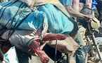 Tchad : les règles d’hygiène bafouées dans le transport de la viande