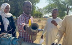 Tchad - Am-Timan : Pénurie d'eau alarmante et problèmes d'infrastructures, le CPAJS tire la sonnette d'alarme