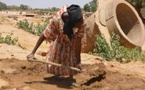 Tchad : Farchana, une localité à la couleur teintée