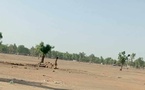 Tchad : la gestion des forêts est un défi difficile à relever