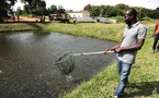 Pêche, aquaculture et élevage en Côte d'Ivoire : le ministre Sidi Tiémoko Touré invite les jeunes à s'intéresser à ce secteur plein d'avenir