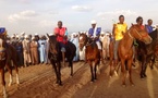 Tchad - Guéra : Une course de chevaux pour renforcer la cohabitation pacifique entre agriculteurs et éleveurs