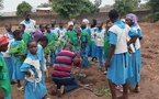 Tchad : Formation des élèves de l'École Catholique Associée de Bébédjia sur la pépinière