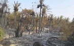 Tchad : Incendie à Mao détruit des cultures dans le Ouadi de Djougou