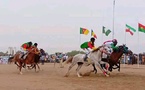 Cameroun - Succès du Grand Prix International Équestre à Maroua : Une vitrine régionale de la tradition hippique
