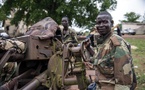RCA : des actions militaires pour rétablir la stabilité dans le Sud-est