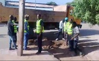 Tchad : La Mairie de Sarh intensifie les efforts d'assainissement pour prévenir les inondations