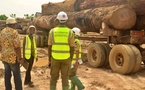 Cameroun : 10 000 billes de bois saisies par la Douane à Kribi