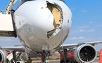 Collision aviaire : un Airbus A321XLR d'Iberia contraint de faire demi-tour