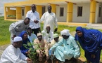 Tchad : l’édition 2025 de la Semaine nationale de l'arbre est lancée dans le Ouaddaï
