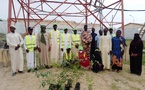 Tchad : Des jeunes plantent des arbres pour lutter contre la désertification à Moussoro