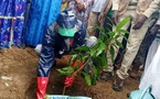 Tchad - Guéra : Lancement de la Semaine Nationale de l'Arbre 2025 à Mongo