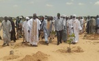 Tchad : 500 arbres plantés pour lutter contre la désertification