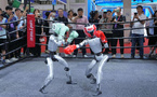Robots showcase cutting-edge capabilities at 2025 World Robot Conference
