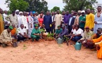 Tchad - Mandoul : Lancement de la Semaine Nationale de l'Arbre