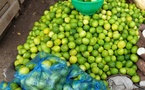 Tchad : abondance de citrons sur le marché, une opportunité pour les petits commerçants