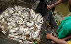 Une nouvelle étude de la BAD souligne le caractère vital de la pêche continentale pour des millions de personnes