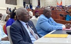 Tchad : Le Congrès adopte la révision technique de la Constitution du 29 décembre 2023
