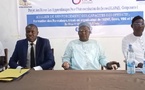Tchad : Formation à Doba pour l'autonomisation des jeunes (Projet ALAPAJ)