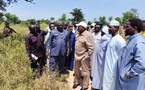 Tchad :  Plus de huit hectares identifiés pour la SOPROFIM à Bongor