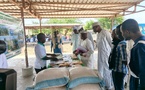 Tchad : La Fédération des producteurs de semences du Lac vulgarise ses succès à Bol