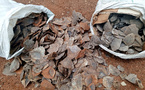 Cameroun : deux personnes comparaîtront à Tibati pour trafic d'écailles de pangolin géant