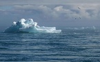 Le changement climatique polaire pourrait amplifier les risques sanitaires mondiaux, selon une étude