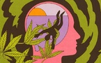 Cannabis et santé mentale : entre mythes, réalités et nouvelles preuves scientifiques