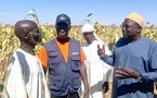 Agriculture : Le Ministre Keda Ballah salue la réussite du modèle de résilience à Madja