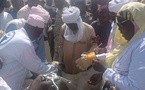 Tchad : lancement de la campagne de vaccination du bétail contre la PPCB et la PPR à Mongo