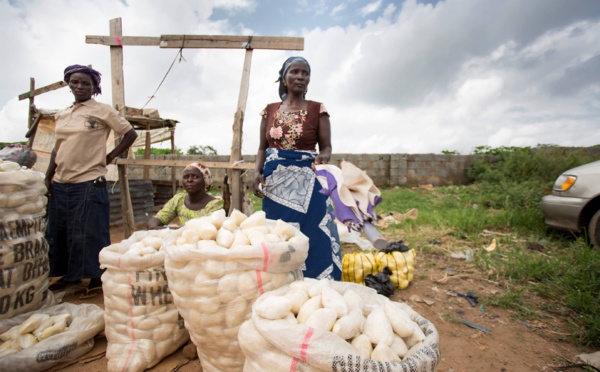 Lancement Afrique de l'Ouest du Rapport Mondial sur la Nutrition 2016