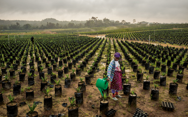 COP22 : Bientôt un centre de prévention de la dégradation des sols en Afrique