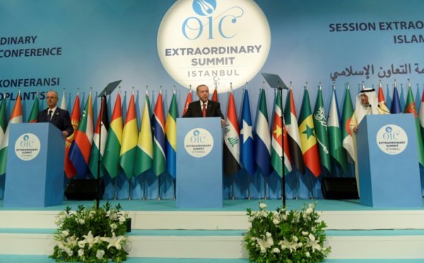 Massacre de Gaza : 57 pays musulmans appellent à créer une force de protection internationale