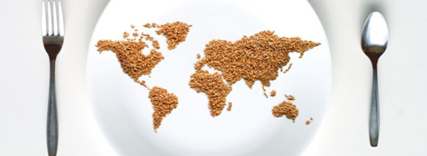 La France octroie 1.5 milliard FCFA pour lutter contre l’insécurité alimentaire au Tchad