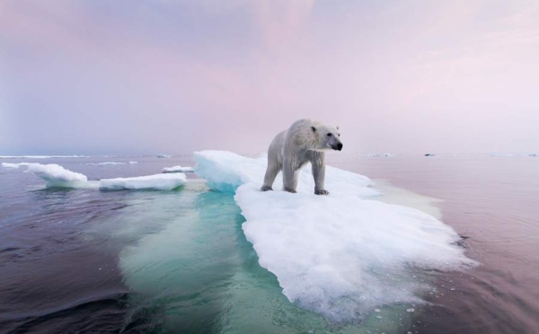 Les gouvernements doivent s'unir derrière la science pour éviter le dérèglement climatique