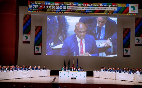 M. Elumelu met le Japon au défi: “Collaborez avec nous afin de responsabiliser les entrepreneurs africains”