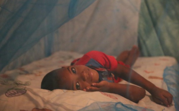 Deux milliards de moustiquaires distribuées dans le monde depuis 2004