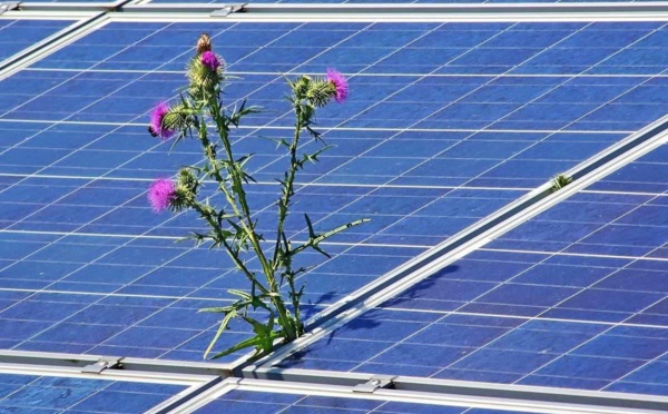 Transitions énergétiques : des perspectives de croissance pour l'économie mondiale