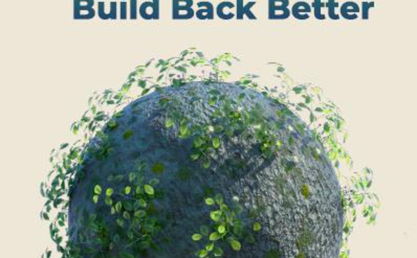 Développement : l’ITFC publie son rapport annuel